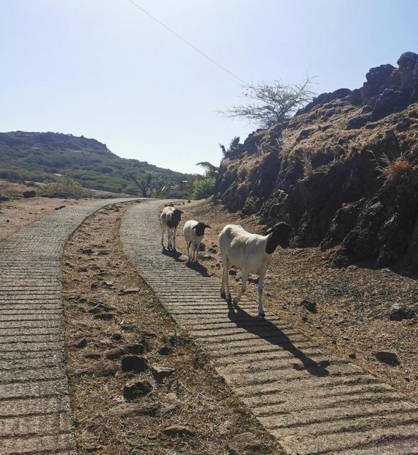 Panoramic Paradise La Ferme المظهر الخارجي الصورة